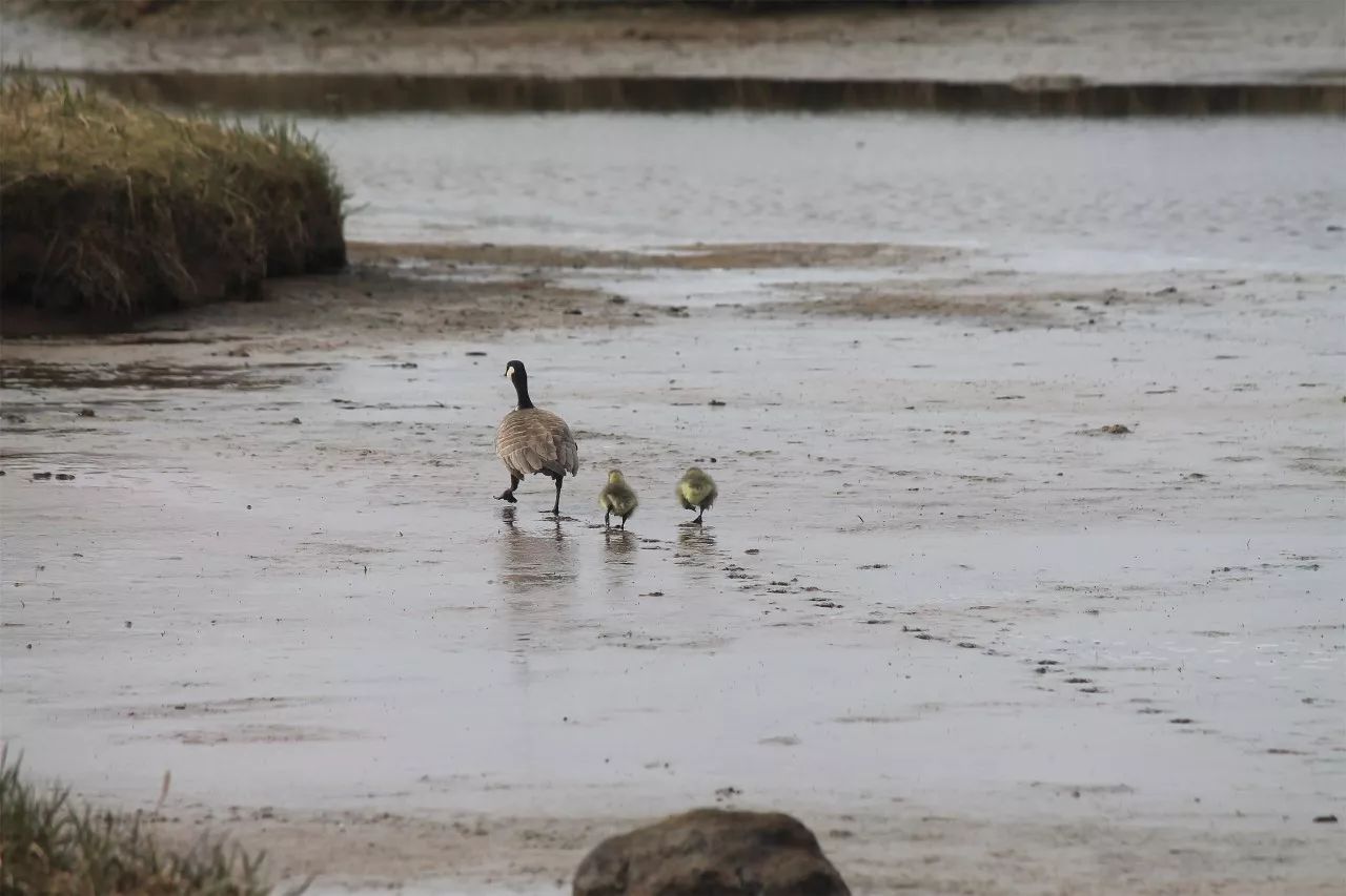 中香界·上海別院，萬水千山總是情！