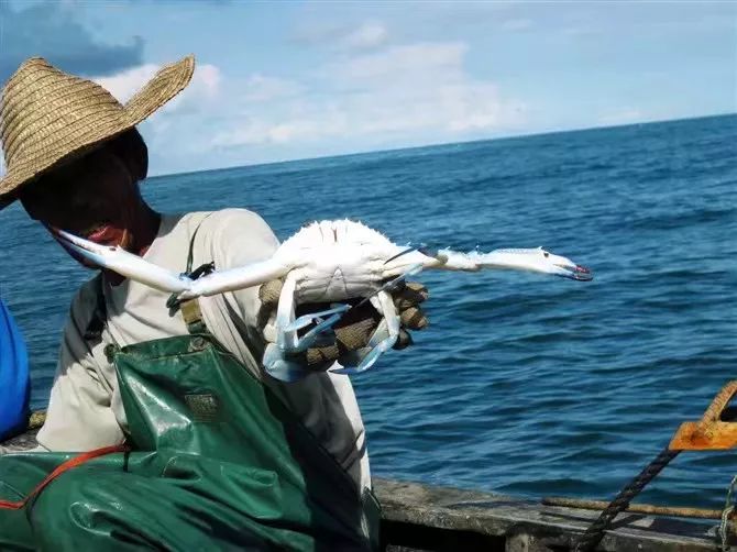 潿洲島·頤客潮宿，有一個(gè)夢面朝大海春暖花開