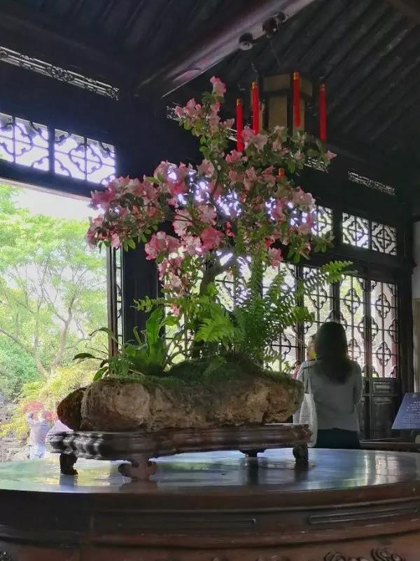 中國(guó)的四大名園，意想不到的風(fēng)景園林美!