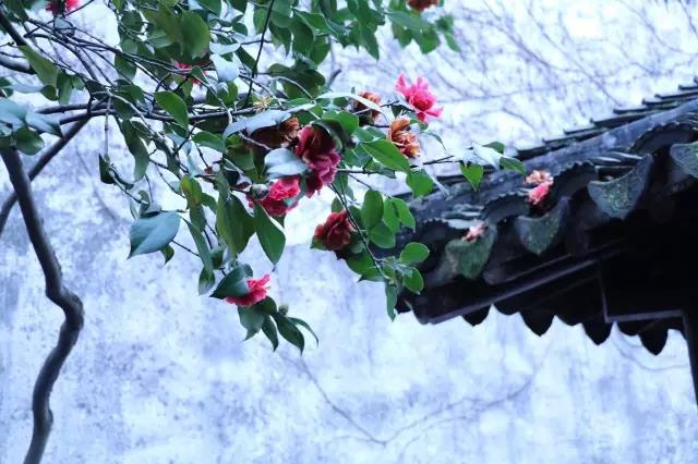 中國(guó)的四大名園，意想不到的風(fēng)景園林美!