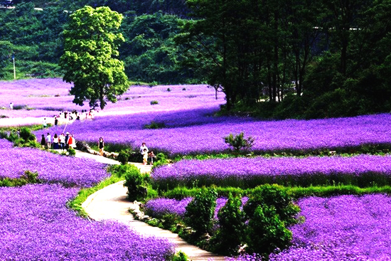 最美貴州風(fēng)景，用山水風(fēng)景點亮貴州文化！