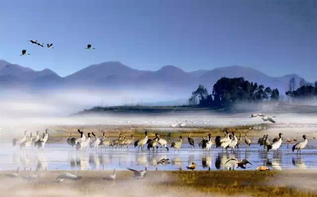 最美貴州風(fēng)景，用山水風(fēng)景點(diǎn)亮貴州文化！