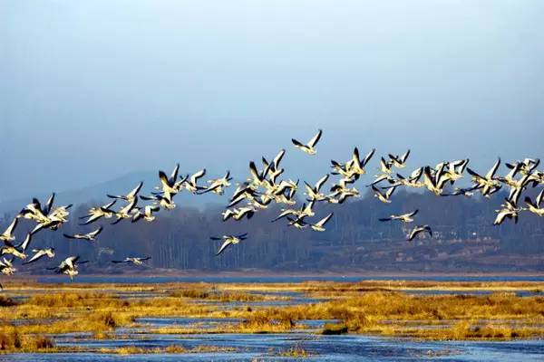 最美貴州風(fēng)景，用山水風(fēng)景點(diǎn)亮貴州文化！