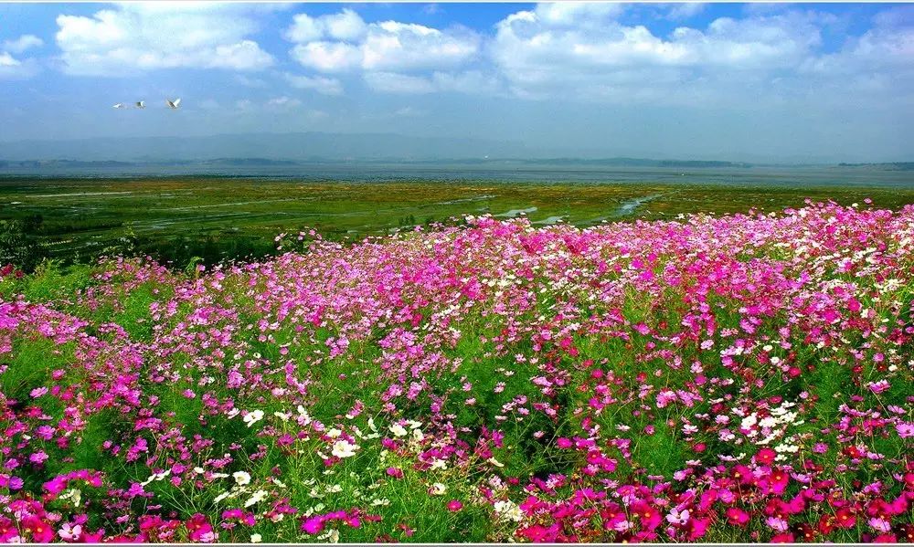 最美貴州風(fēng)景，用山水風(fēng)景點(diǎn)亮貴州文化！