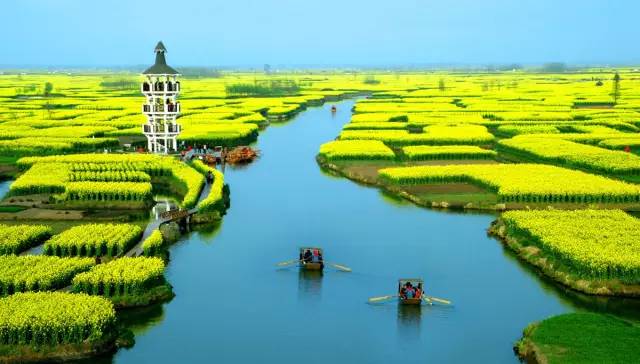 美到窒息的中國(guó)最美油菜花海，邂逅花海風(fēng)景！