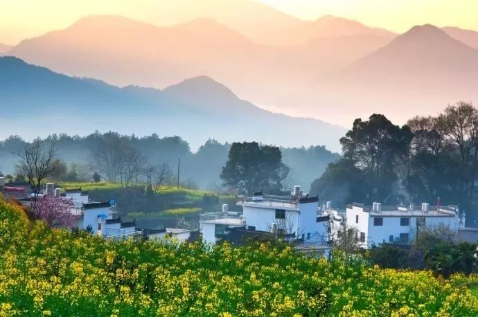 美到窒息的中國(guó)最美油菜花海，邂逅花海風(fēng)景！