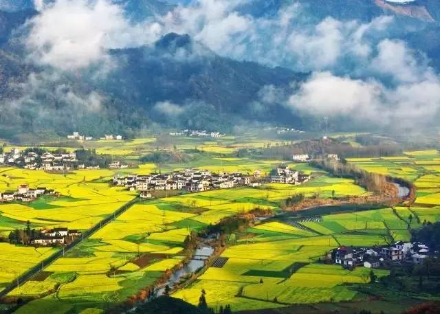 美到窒息的中國(guó)最美油菜花海，邂逅花海風(fēng)景！