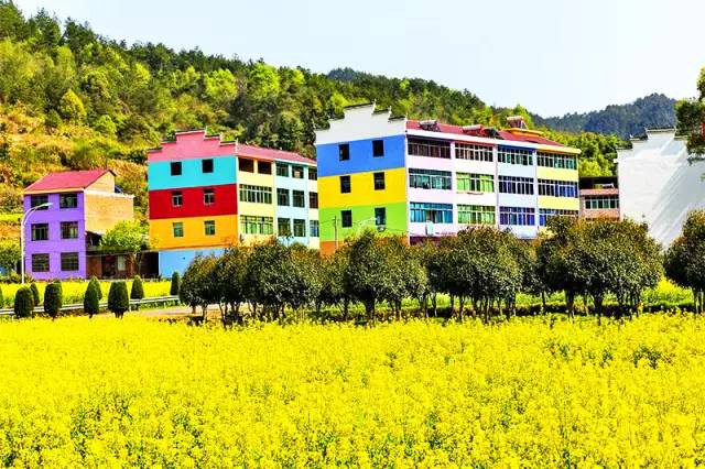 美到窒息的中國(guó)最美油菜花海，邂逅花海風(fēng)景！