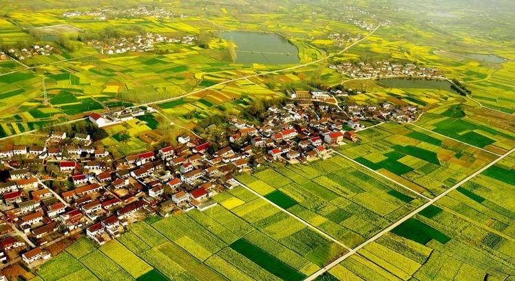 美到窒息的中國最美油菜花海，邂逅花海風景！