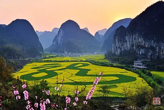 美到窒息的中國最美油菜花海，邂逅花海風景！