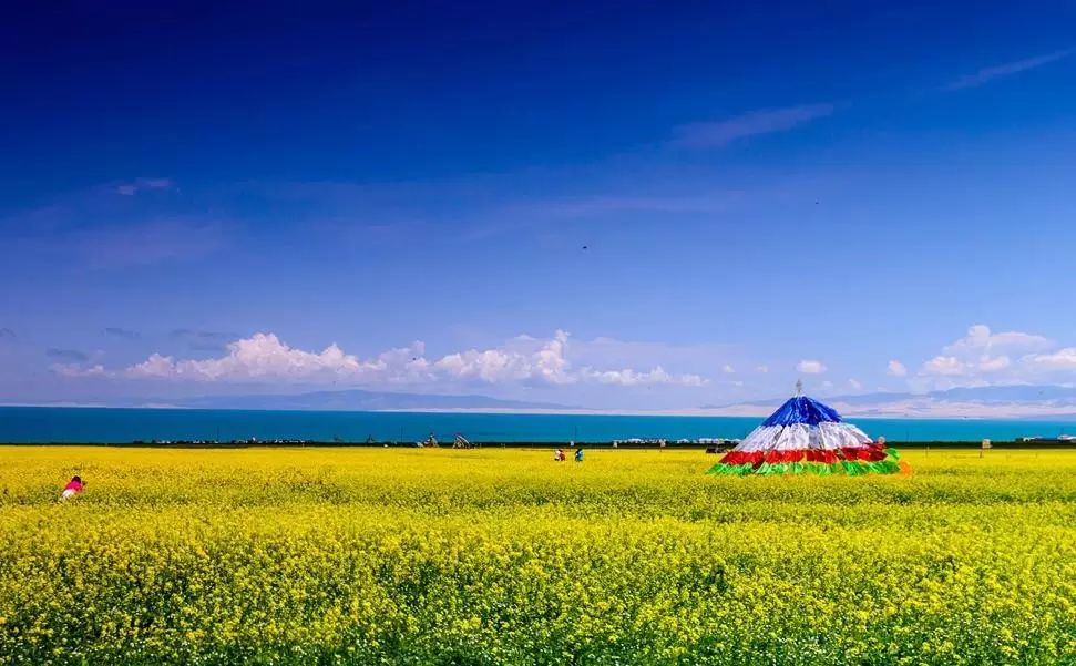 美到窒息的中國(guó)最美油菜花海，邂逅花海風(fēng)景！