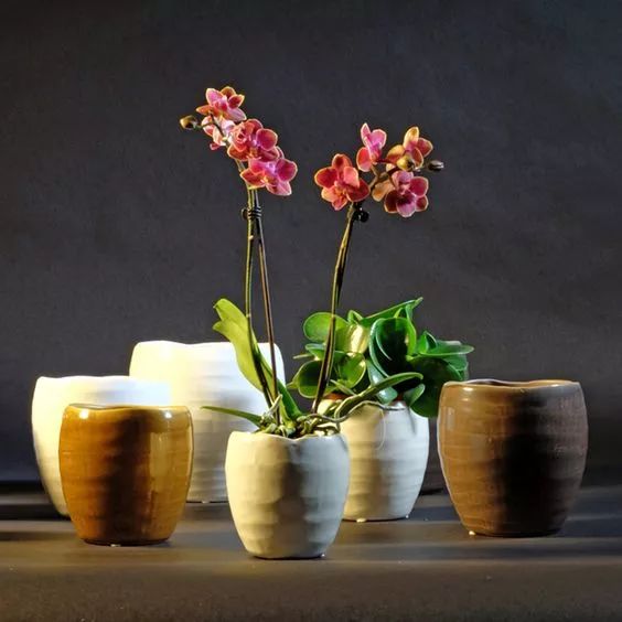 花香滿溢，唯美花藝設(shè)計(jì)！