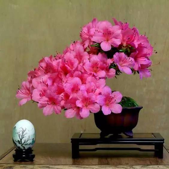 花香滿溢，唯美花藝設(shè)計(jì)！