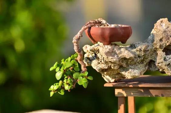 花香滿溢，唯美花藝設計！