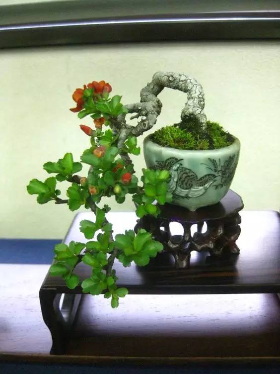 花香滿溢，唯美花藝設計！