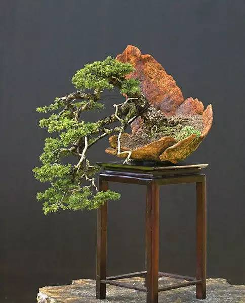 花香滿溢，唯美花藝設(shè)計！