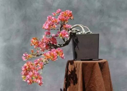 花香滿溢，唯美花藝設計！