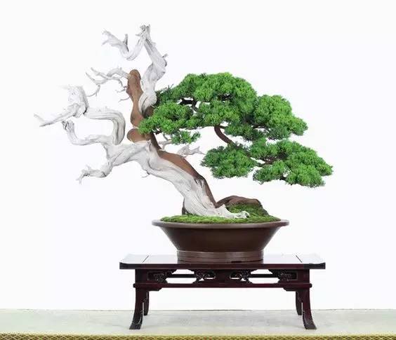 花香滿溢，唯美花藝設(shè)計！