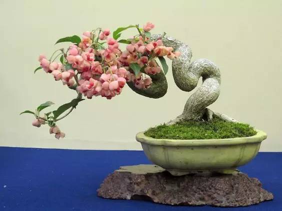 花香滿溢，唯美花藝設(shè)計！