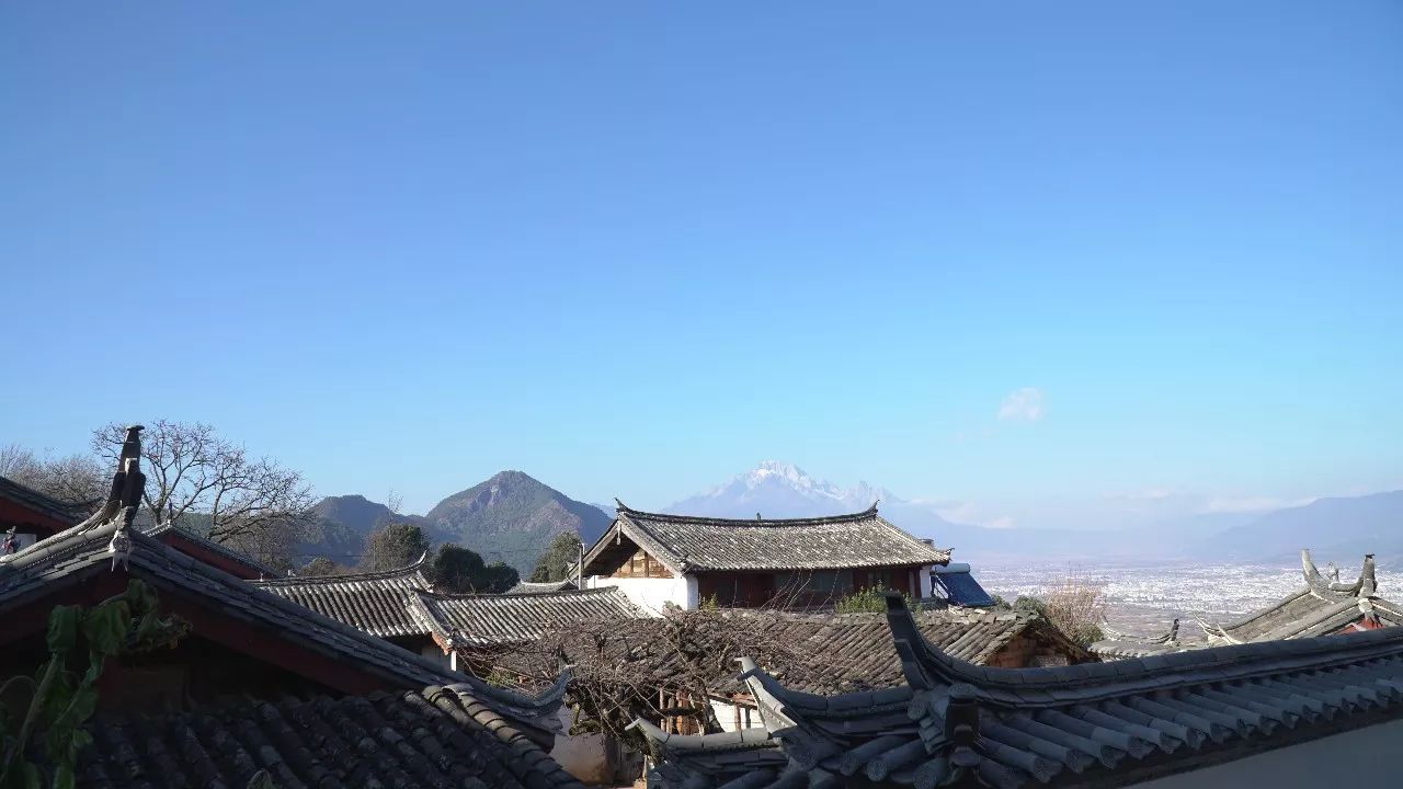 麗江·靈凈山舍，一花一木一世界！