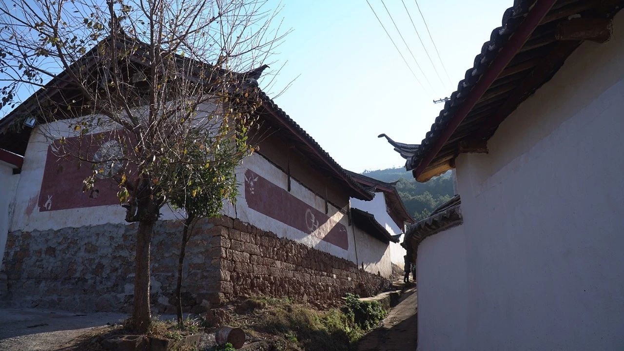 麗江·靈凈山舍，一花一木一世界！