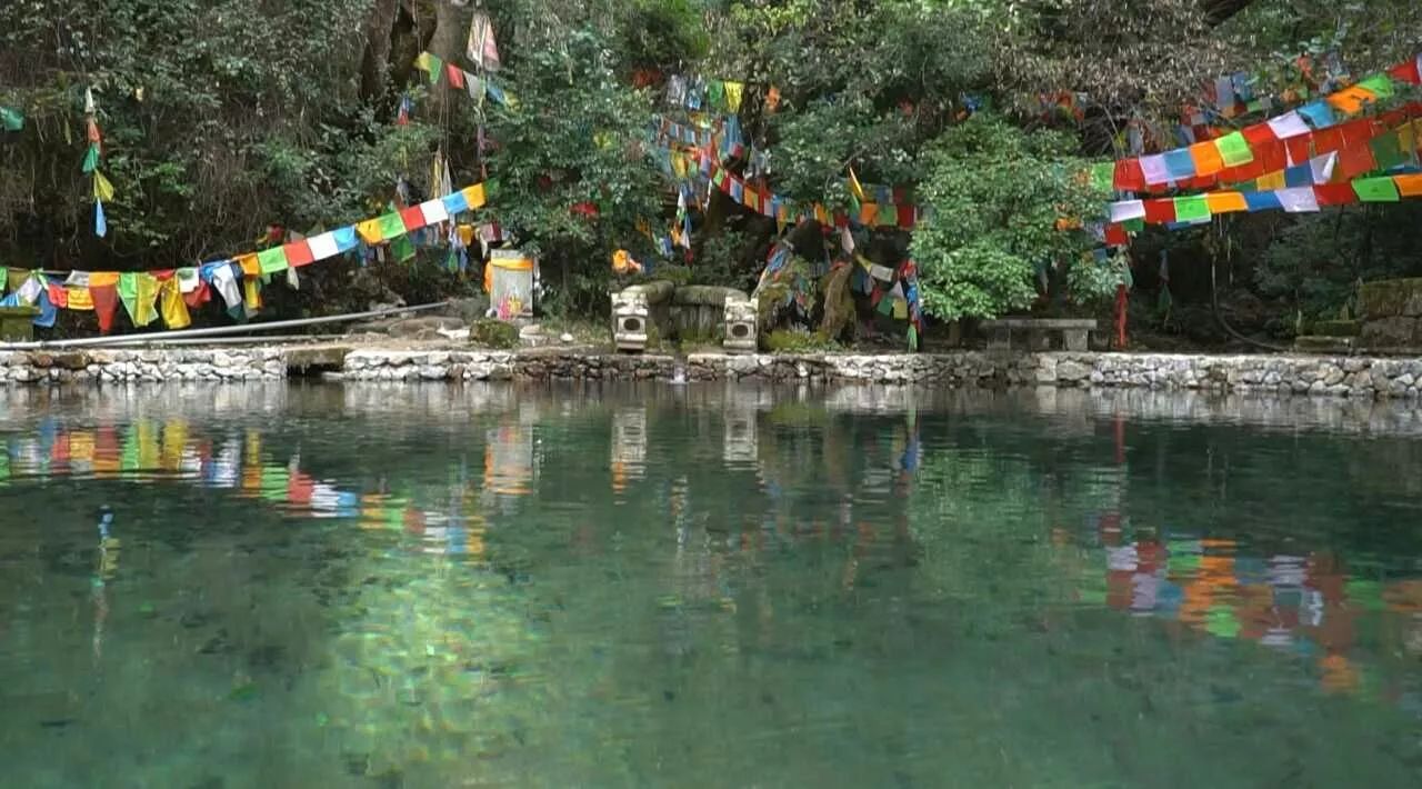 麗江·靈凈山舍，一花一木一世界！