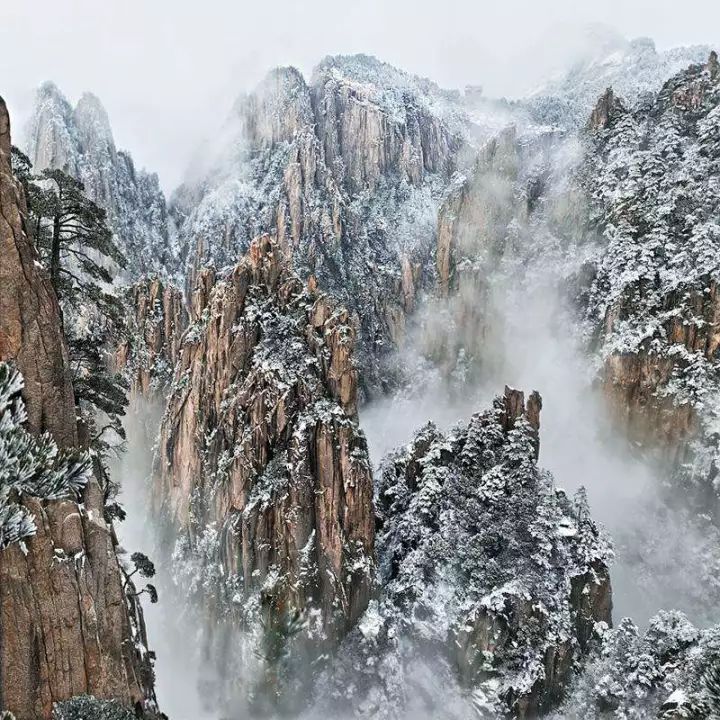 雪后黃山風景宛如人間仙境，舞一曲雪中霓裳羽