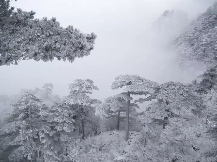 雪后黃山風(fēng)景宛如人間仙境，舞一曲雪中霓裳羽
