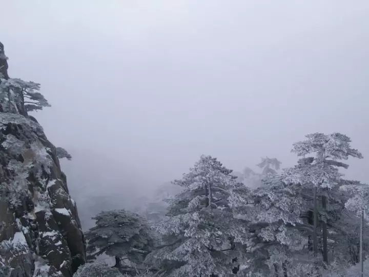 雪后黃山風(fēng)景宛如人間仙境，舞一曲雪中霓裳羽