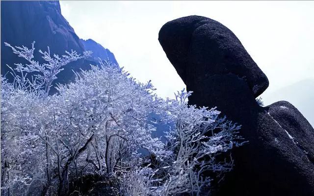 雪后黃山風(fēng)景宛如人間仙境，舞一曲雪中霓裳羽