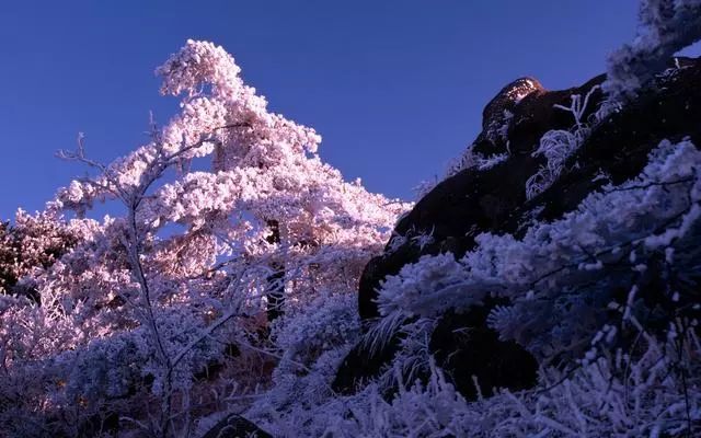 雪后黃山風(fēng)景宛如人間仙境，舞一曲雪中霓裳羽