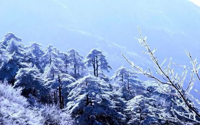 雪后黃山風(fēng)景宛如人間仙境，舞一曲雪中霓裳羽