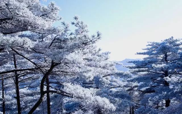 雪后黃山風(fēng)景宛如人間仙境，舞一曲雪中霓裳羽