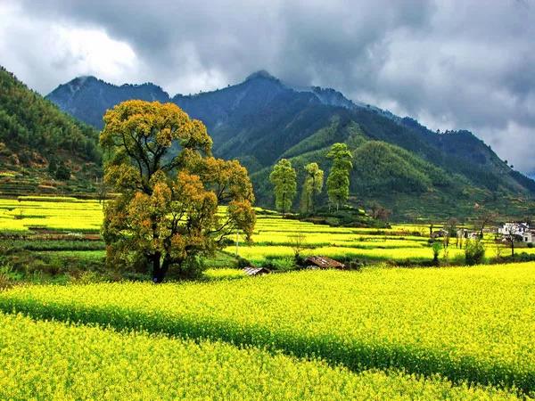 8處風(fēng)景如詩(shī)如畫，春天最值得去的地方！