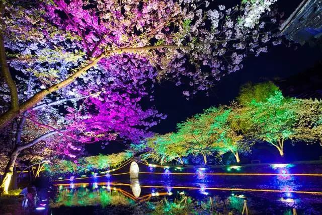 8處風(fēng)景如詩如畫，春天最值得去的地方！