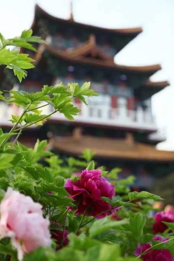 8處風(fēng)景如詩(shī)如畫(huà)，春天最值得去的地方！