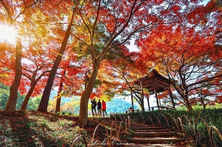 美呆了！祖國(guó)的秋色盡收眼底