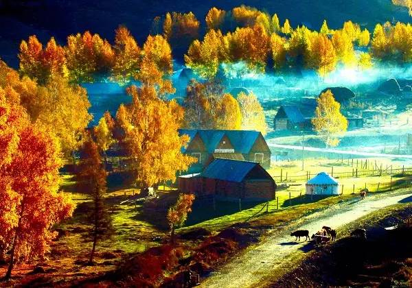 美呆了！祖國的秋色盡收眼底