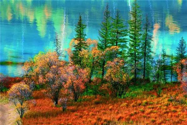 美呆了！祖國的秋色盡收眼底