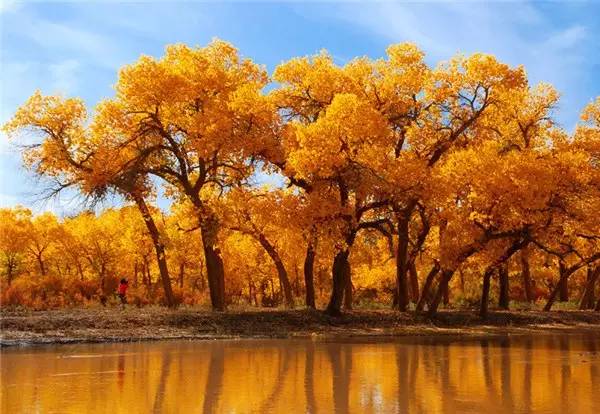 美呆了！祖國的秋色盡收眼底