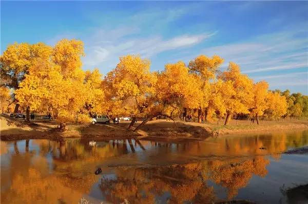 美呆了！祖國的秋色盡收眼底