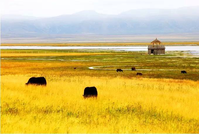 美呆了！祖國(guó)的秋色盡收眼底