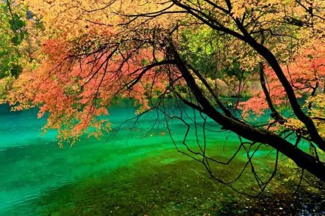 美呆了！祖國(guó)的秋色盡收眼底