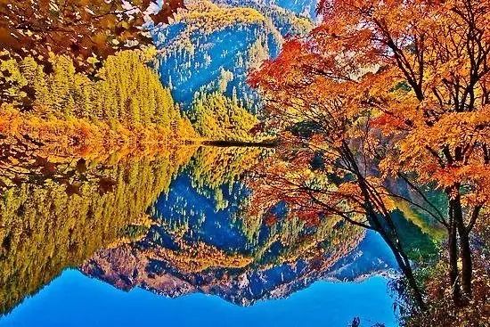 美呆了！祖國(guó)的秋色盡收眼底