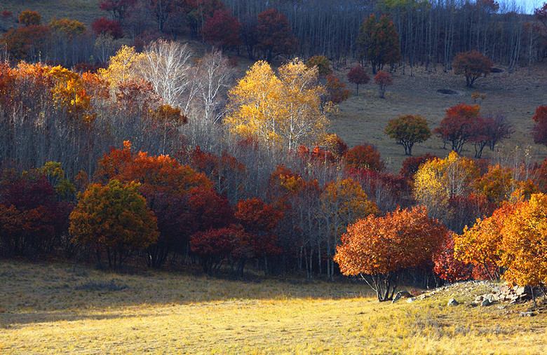 美呆了！祖國的秋色盡收眼底
