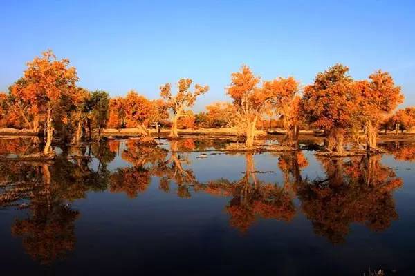 美呆了！祖國的秋色盡收眼底