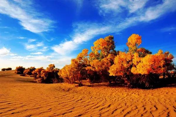 美呆了！祖國的秋色盡收眼底