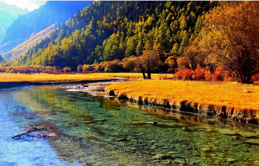 美呆了！祖國的秋色盡收眼底