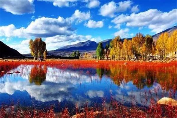 美呆了！祖國的秋色盡收眼底