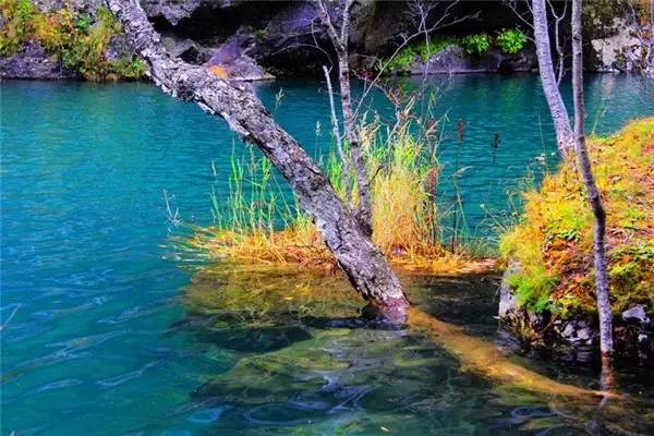 美呆了！祖國的秋色盡收眼底